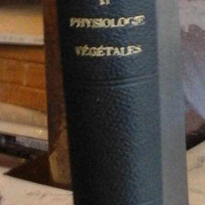 Pizon A. Anatomie et physiologie végétales