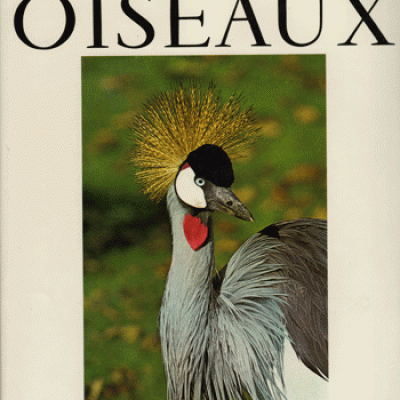 Vie et moeurs des oiseaux par Paul Barruel