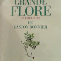 Bonnier2