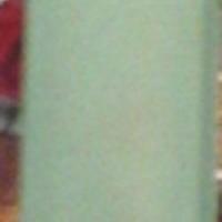 Bourrelier1