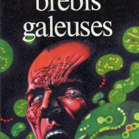 brebis-galeuses.jpg