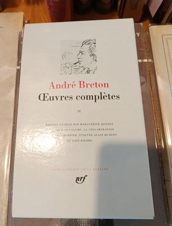 Bretonandre 1