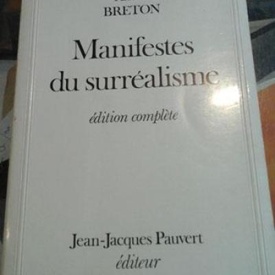 Bretonandre