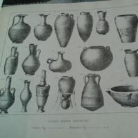 Brongniart6