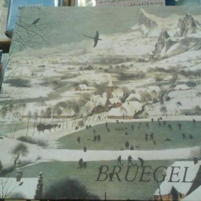 Bruegelmettra