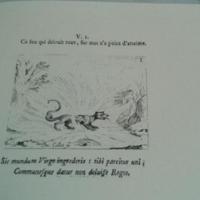 Callotj3
