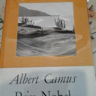 Camusletranger1