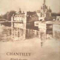 chantillyns.jpg