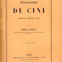 Cini