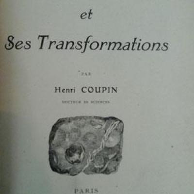 Coupin