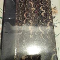 Devignyjournal4