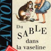 du-sable-dans-la-vaseline.jpg