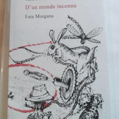 Dunmonde