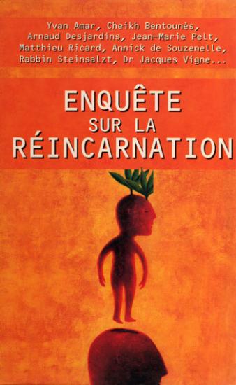 enquete-sur-la-reincarnation.jpg