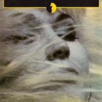 et-tombent-les-filles.jpg