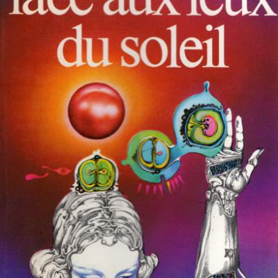 face-aux-feux-du-soleil.jpg