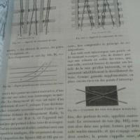 Figuierlesmerveilles2