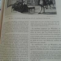 Figuierlesmerveilles3