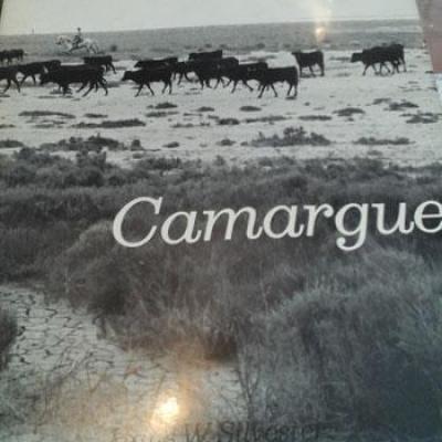 Gionocamargue
