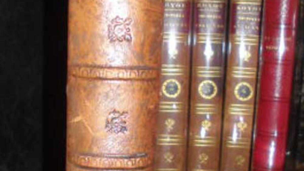 Le Violon Ses luthiers célèbres et leurs imitateurs