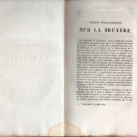 labruyere3.jpg