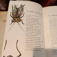 Lafontainetremois4