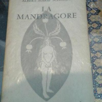 Lamandragore1