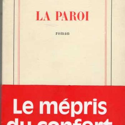 La paroi par Pierre Moustiers