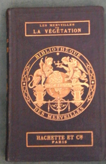 Lavegetation