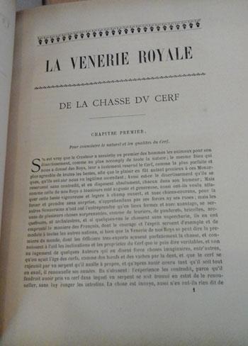 Lavenerieroyale