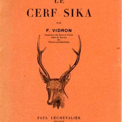 Vidron F. Le Cerf Sika VENDU