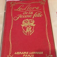 Lelivredelajeunefille1