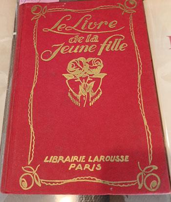 Lelivredelajeunefille1