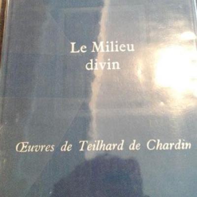 Lemilieudivin
