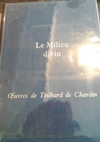 Lemilieudivin