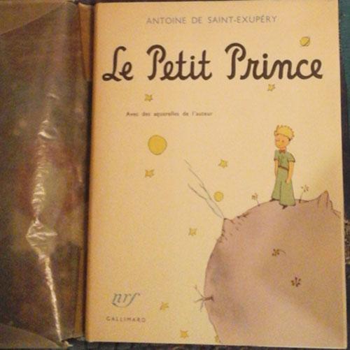 Lepetitprince4