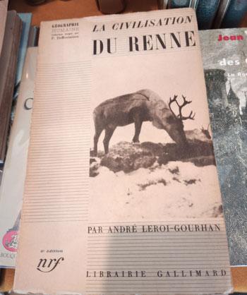 Leroigourhanandre