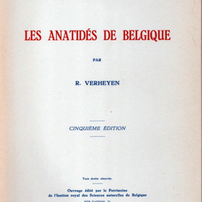Les anatidés de Belgique par R.Verheyen