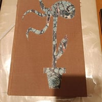 Leschantslaut1