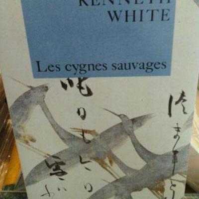 Lescygnessauvages