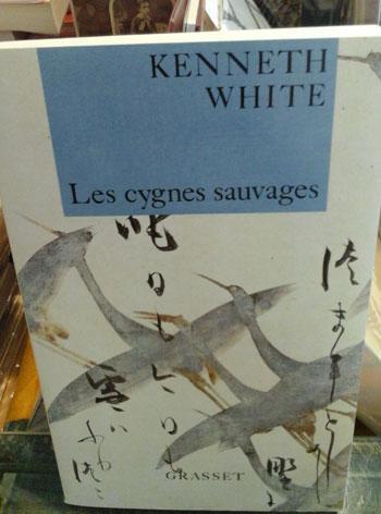 Lescygnessauvages