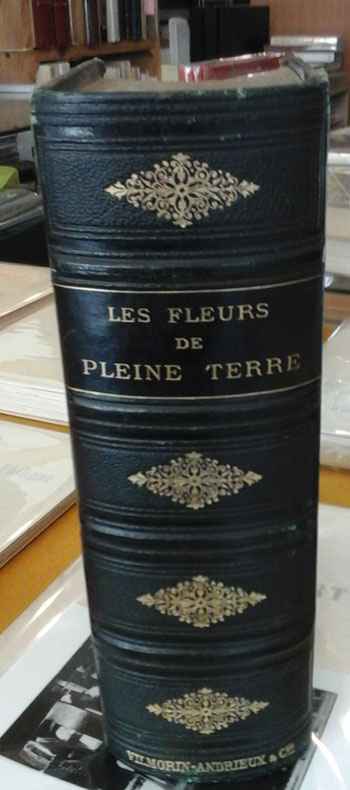 Lesfleursdepleine2