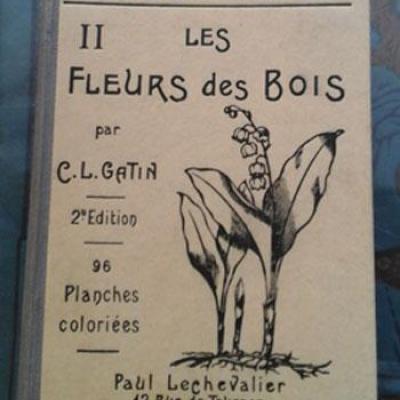 Lesfleursdesbois1