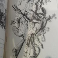 Leshuet4