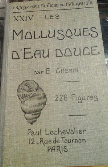 Lesmollusques1