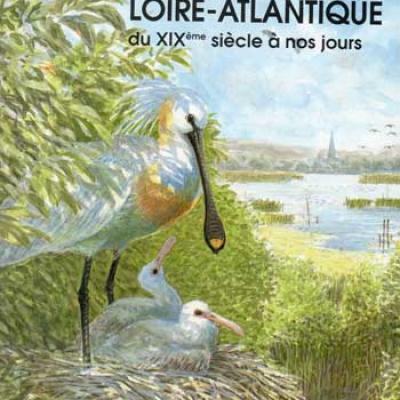 Les oiseaux de Loire-Atlantique du XIXième siècle à nos jours