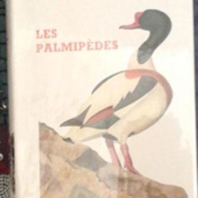 Lespalmipedes1