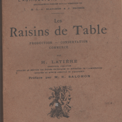 Latière H. Les raisins de table