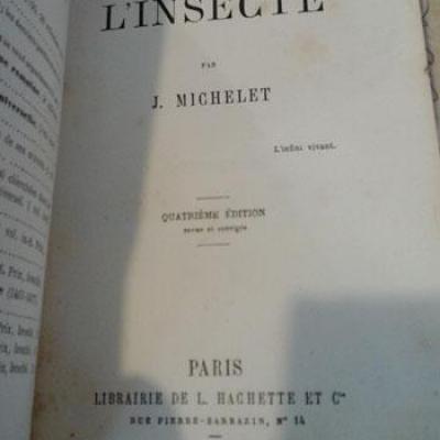 Linsectemichelet