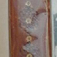 Lintrus1